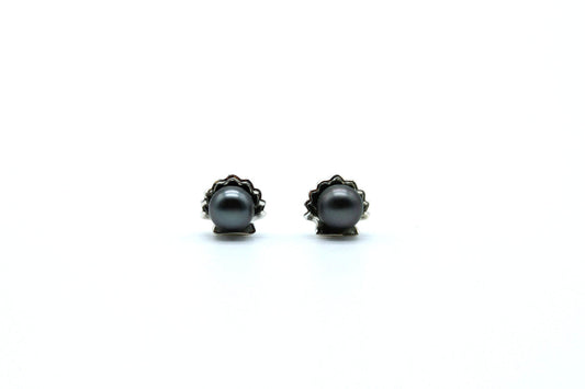 Havai'i Earrings