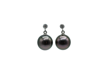 Halo Earrings on Sterling Silver with Moissanite