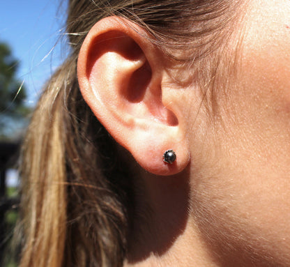 Havai'i Earrings