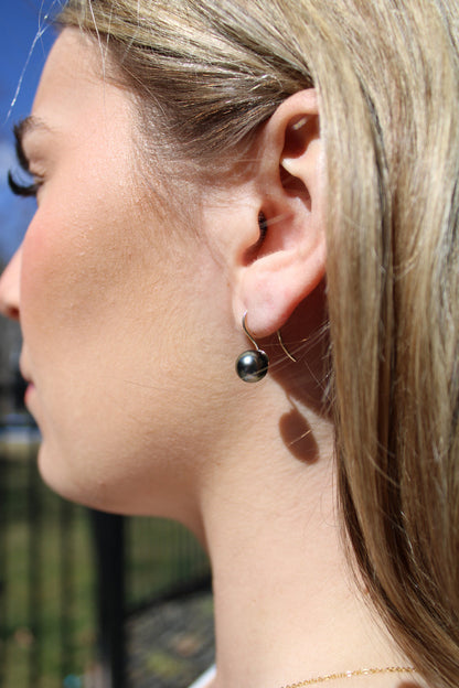 French Hook Earrings on 14K White Gold